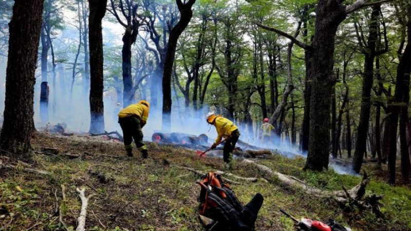 Envían brigadistas y equipamiento para colaborar con los incendios en Los Alerces