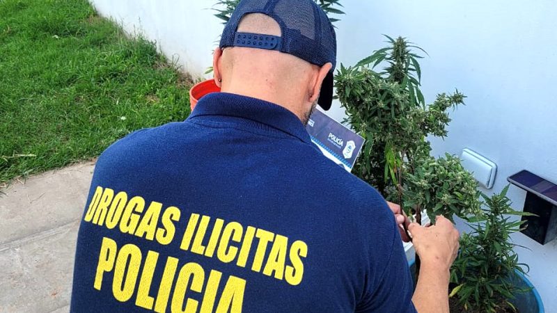 Incautaron marihuana en Germania