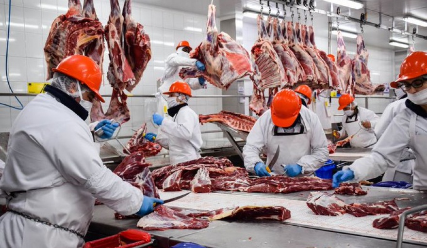 Salvo con China, se derrumbaron las ventas de carne al exterior