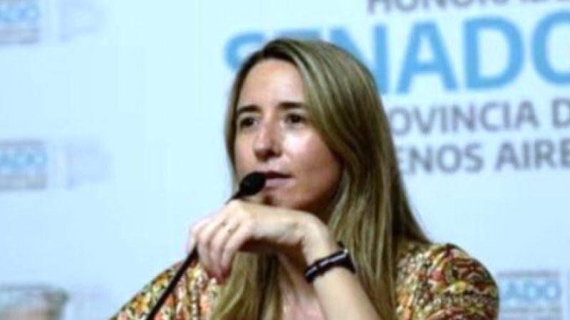 Piden el desafuero de la senadora bonaerense Flavia Delmonte