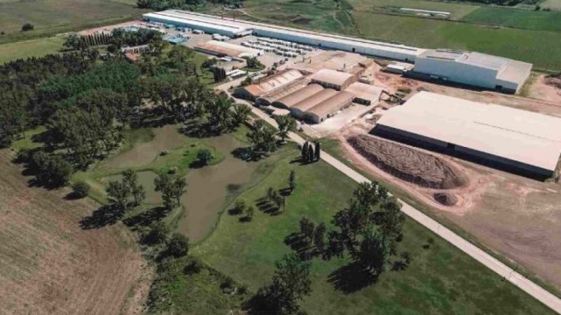 Cerámica Cortines paraliza su producción durante dos meses