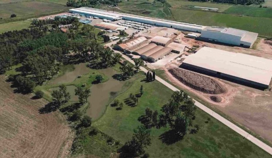 Cerámica Cortines paraliza su producción durante dos meses