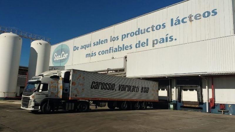 Por un crédito impago le rematan a Sancor casi 700 toneladas de queso