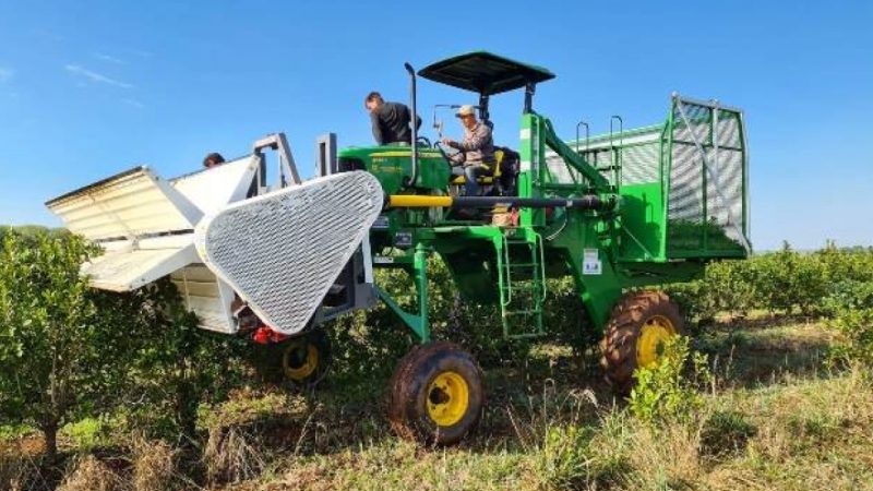 Aseguran que Milei: “tiene un total desconocimiento del sector agropecuario”