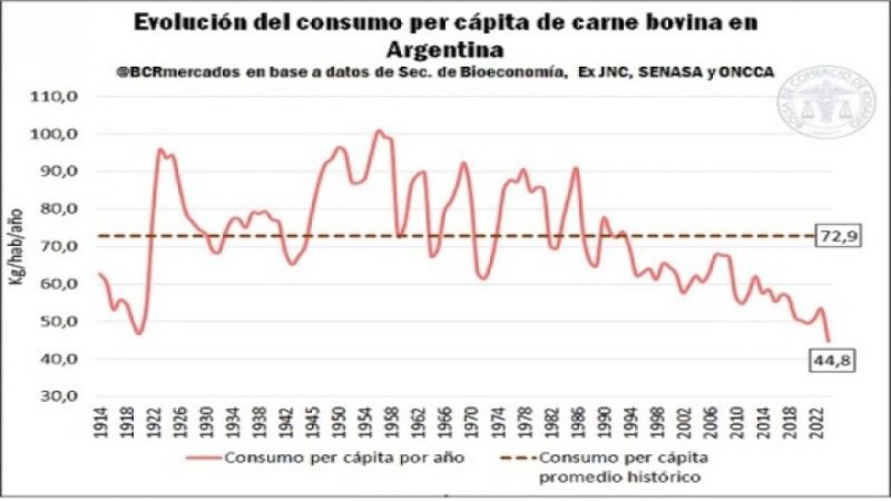 El consumo de carne vacuna en Argentina alcanza un mínimo histórico