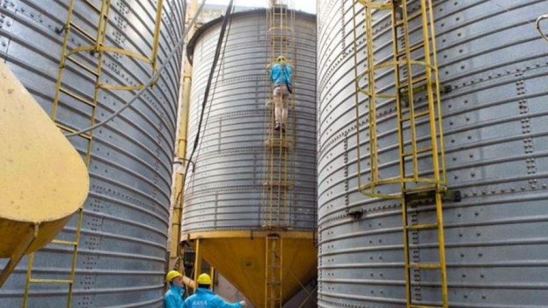 Detectan 81 silos sin declarar en campos de Junín, entre más de 700 en la zona núcleo