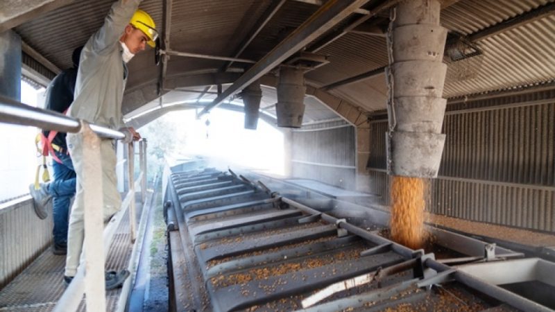 Compra y reparación de material rodante mediante acuerdos con cerealeras