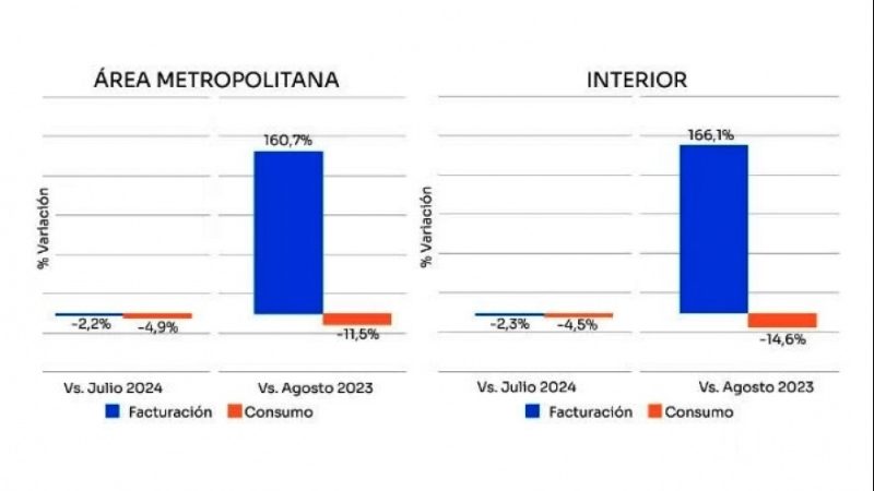 Consumo masivo agosto 2024: cae 4,6% mensual y 13,7% interanual