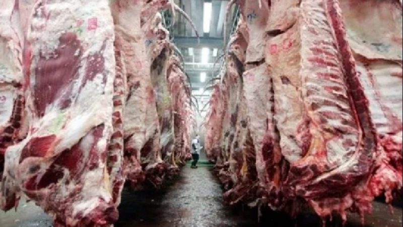 Crecimiento de las exportaciones argentinas de carnes durante agosto