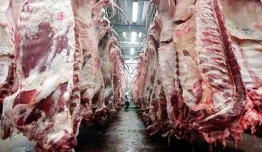 Las exportaciones de carne vacuna se encaminan a cerrar 2024 en niveles récord