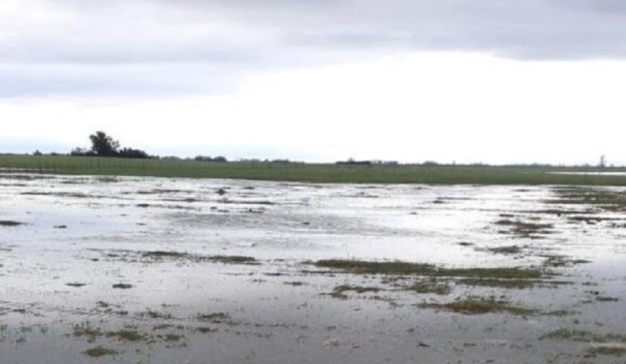 Eximen del Impuesto Inmobiliario Rural a productores de seis distritos bonaerenses