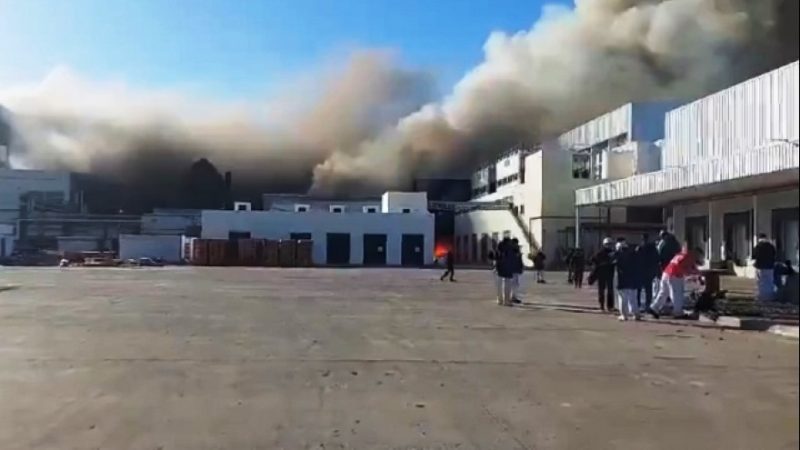 Incertidumbre laboral en el Frigorífico Gorina tras un incendio y despidos