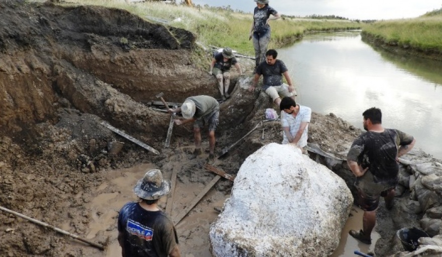 Hallan en General Guido fósiles de un ciervo de la “Era del Hielo”