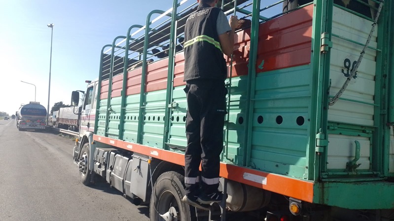 Más de 500 transportes fiscalizados en rutas del norte bonaerense en 2025