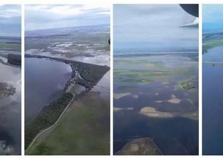 Piden declarar la emergencia agropecuaria en distritos del centro bonaerense