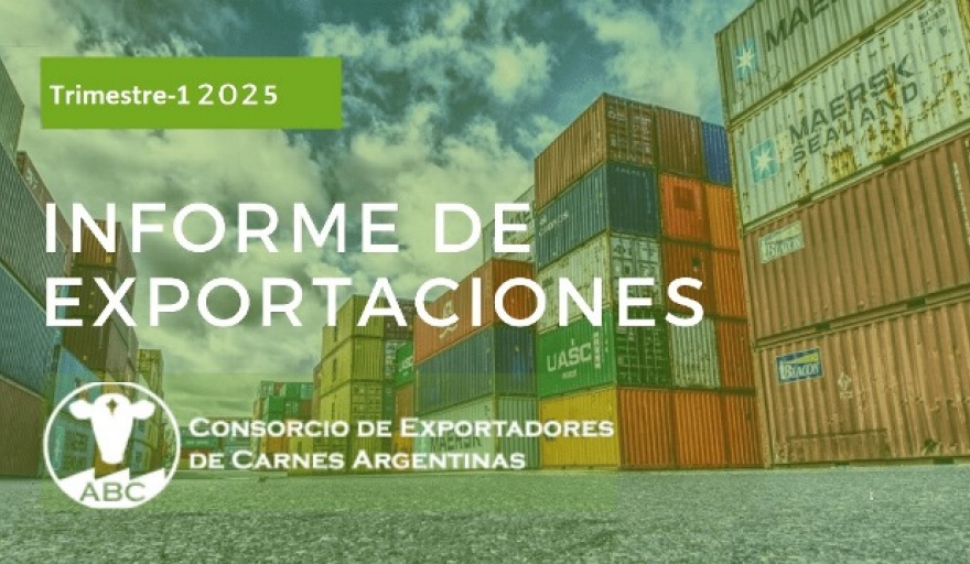 Fuerte retroceso de las exportaciones de carne en el primer trimestre de 2025